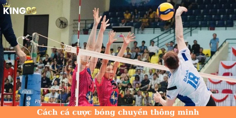 Cách cá cược bóng chuyền thông minh