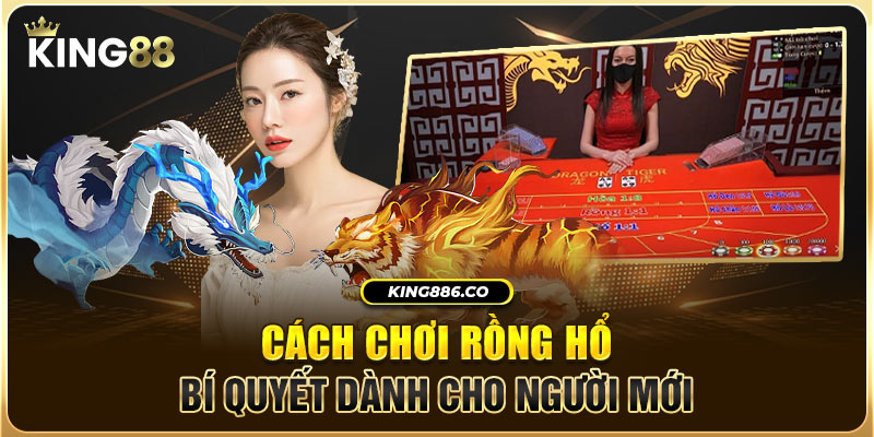 Cách chơi cơ bản