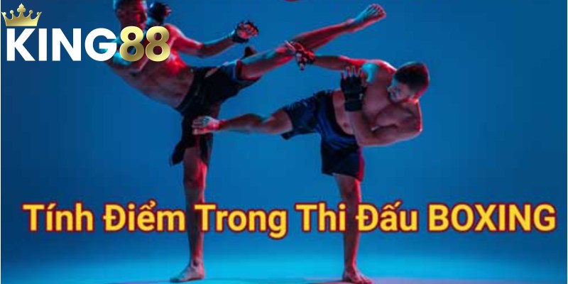 Cược thủ cần hiểu rõ nguyên tắc cho điểm trong Quyền Anh